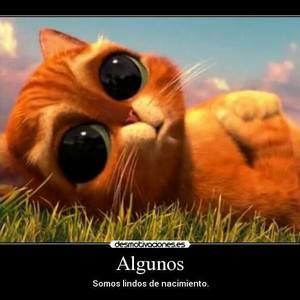 Meet your Posher, Erick